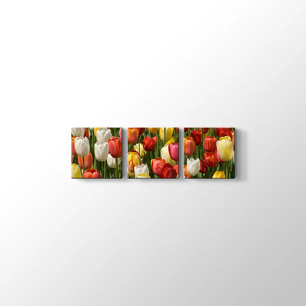 Laleler Kanvas Tablo