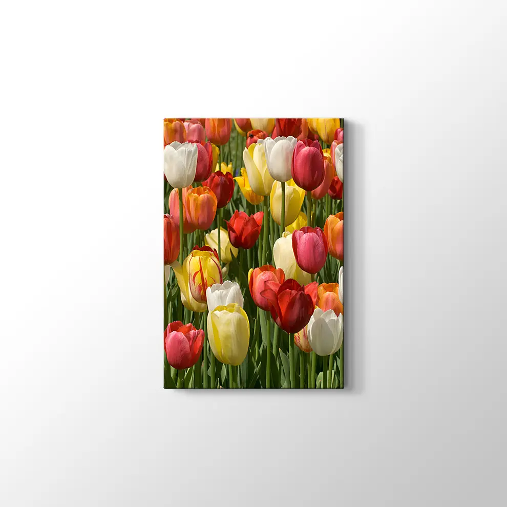 Laleler Kanvas Tablo