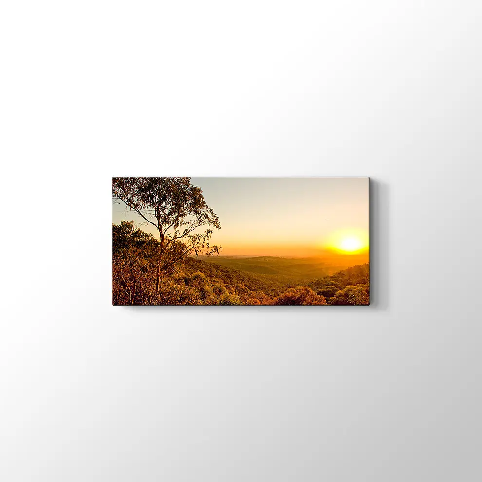 Güney Avusturalya Çalılıklar Kanvas Tablo