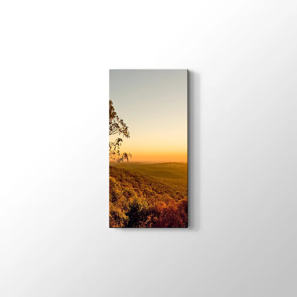 Güney Avusturalya Çalılıklar Kanvas Tablo