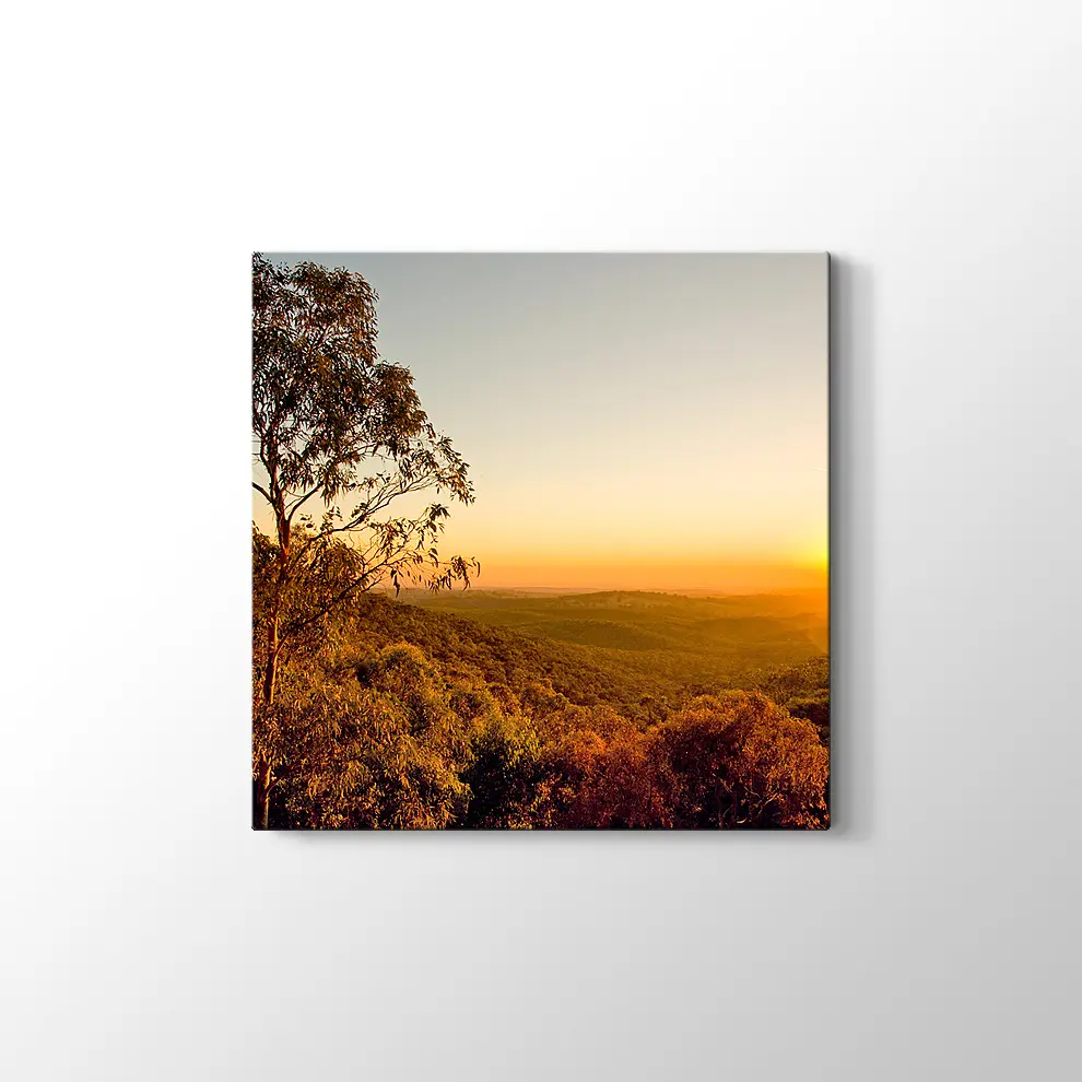 Güney Avusturalya Çalılıklar Kanvas Tablo