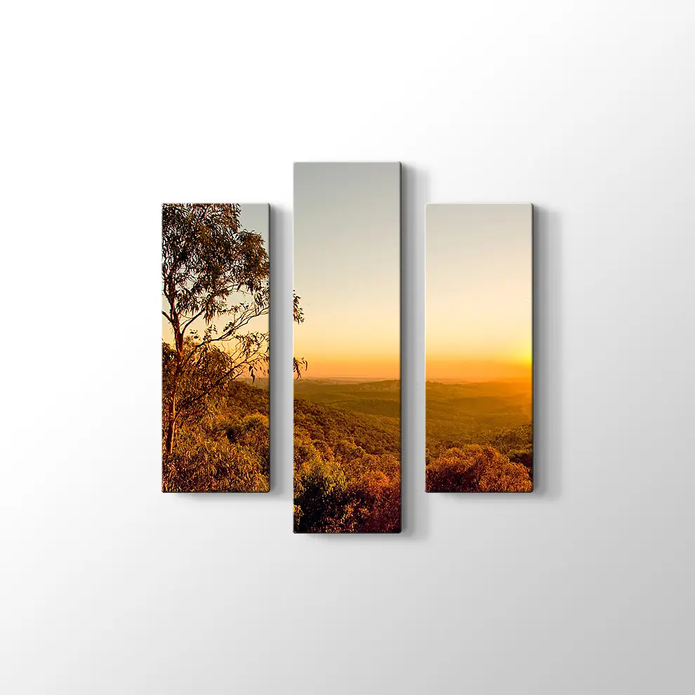 Güney Avusturalya Çalılıklar Kanvas Tablo