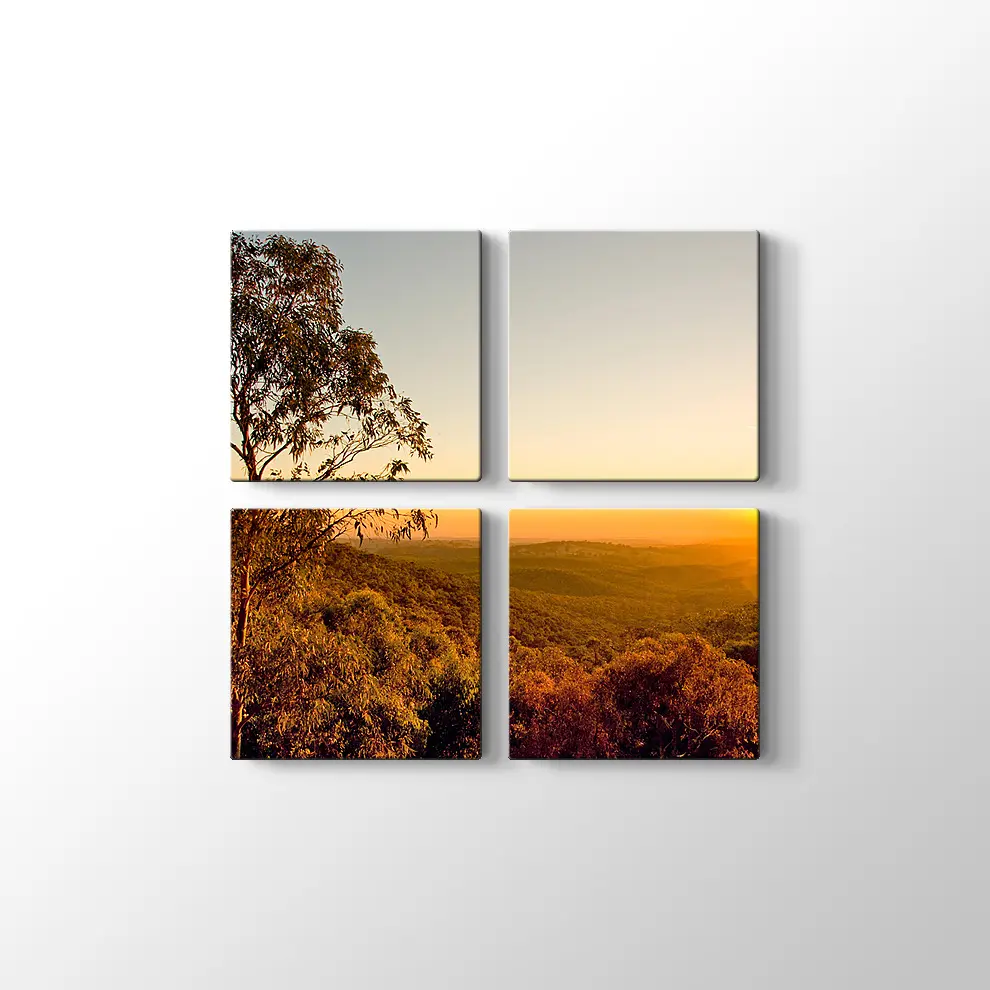 Güney Avusturalya Çalılıklar Kanvas Tablo