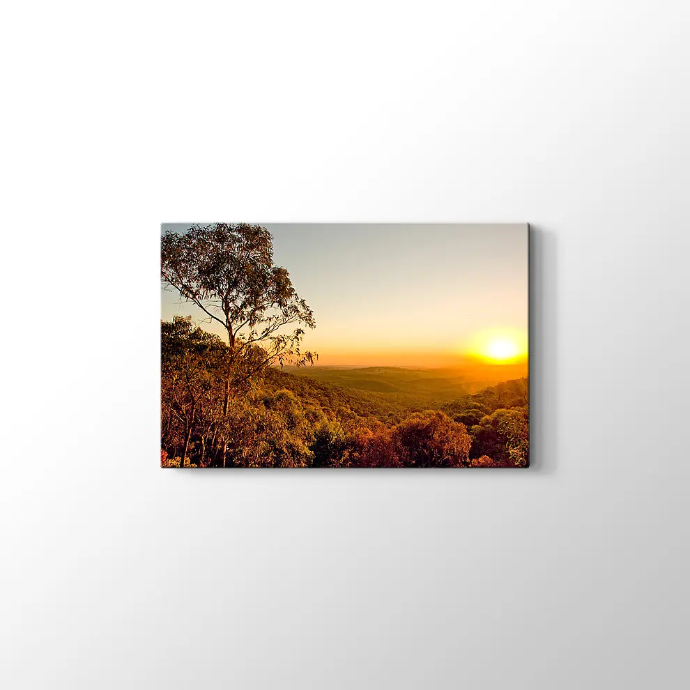 Güney Avusturalya Çalılıklar Kanvas Tablo