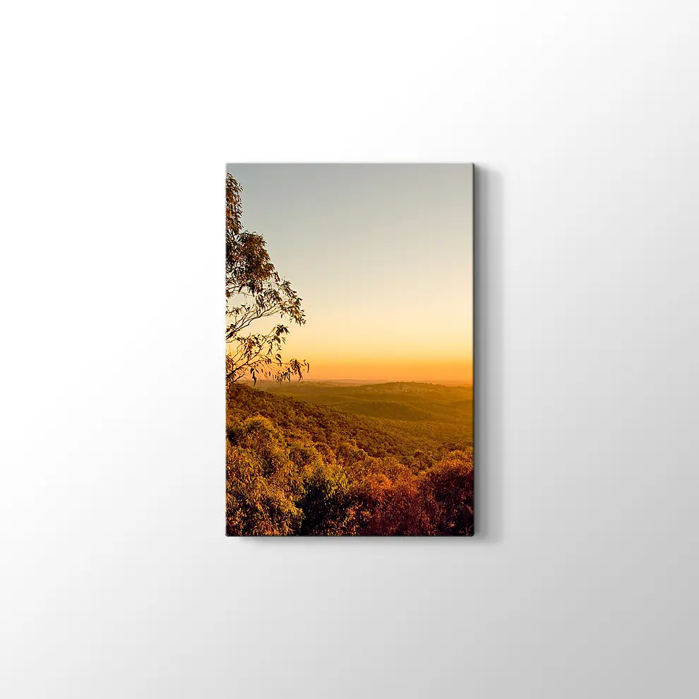 Güney Avusturalya Çalılıklar Kanvas Tablo