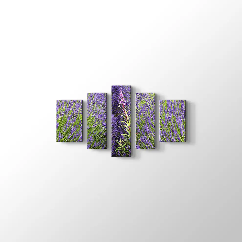 Lavantalar Kanvas Tablo