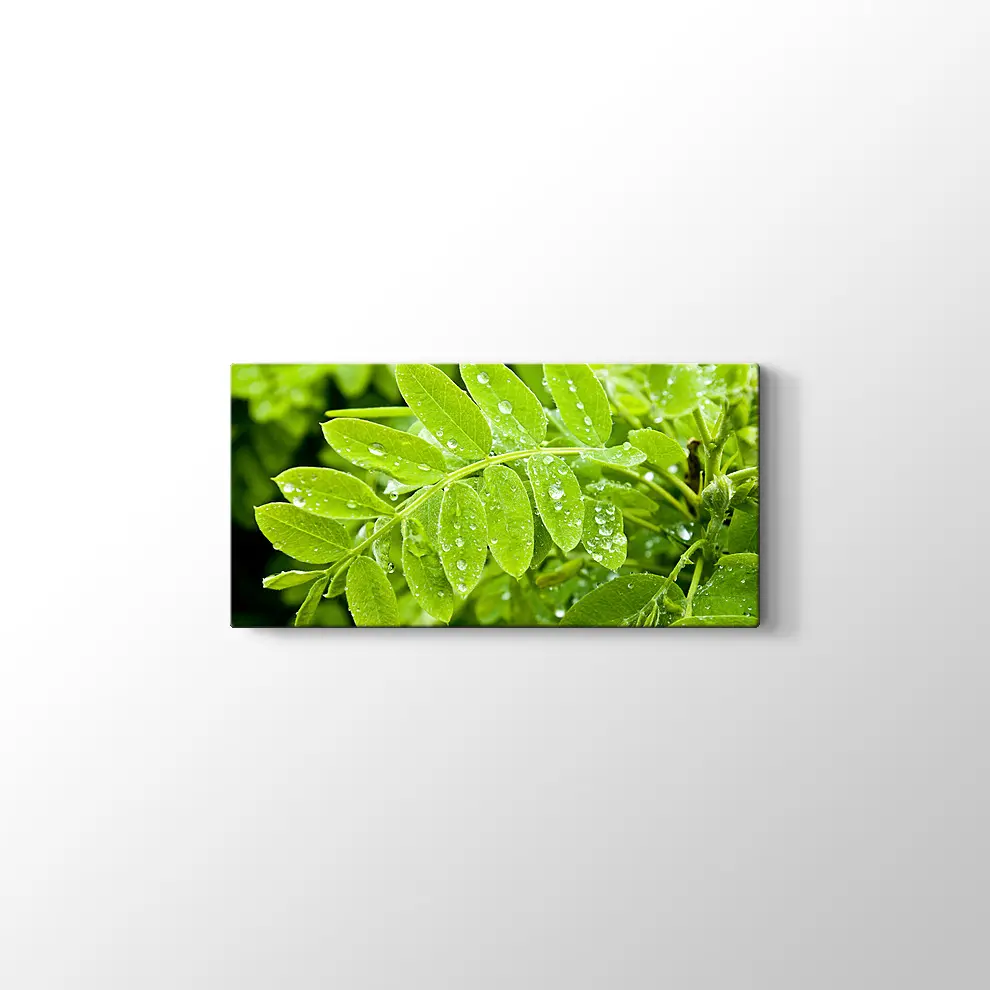 Kayalıklarda Gün Batımı