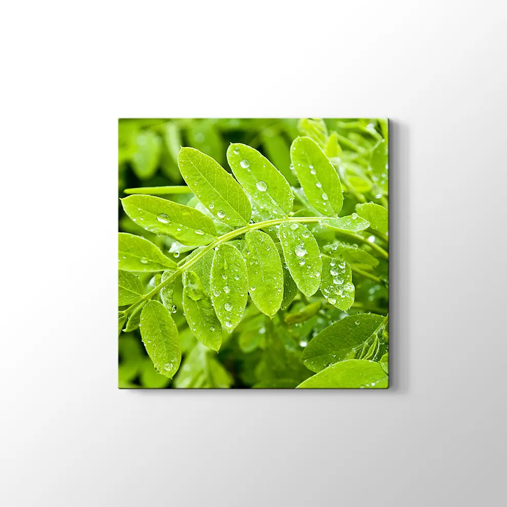 Kayalıklarda Gün Batımı