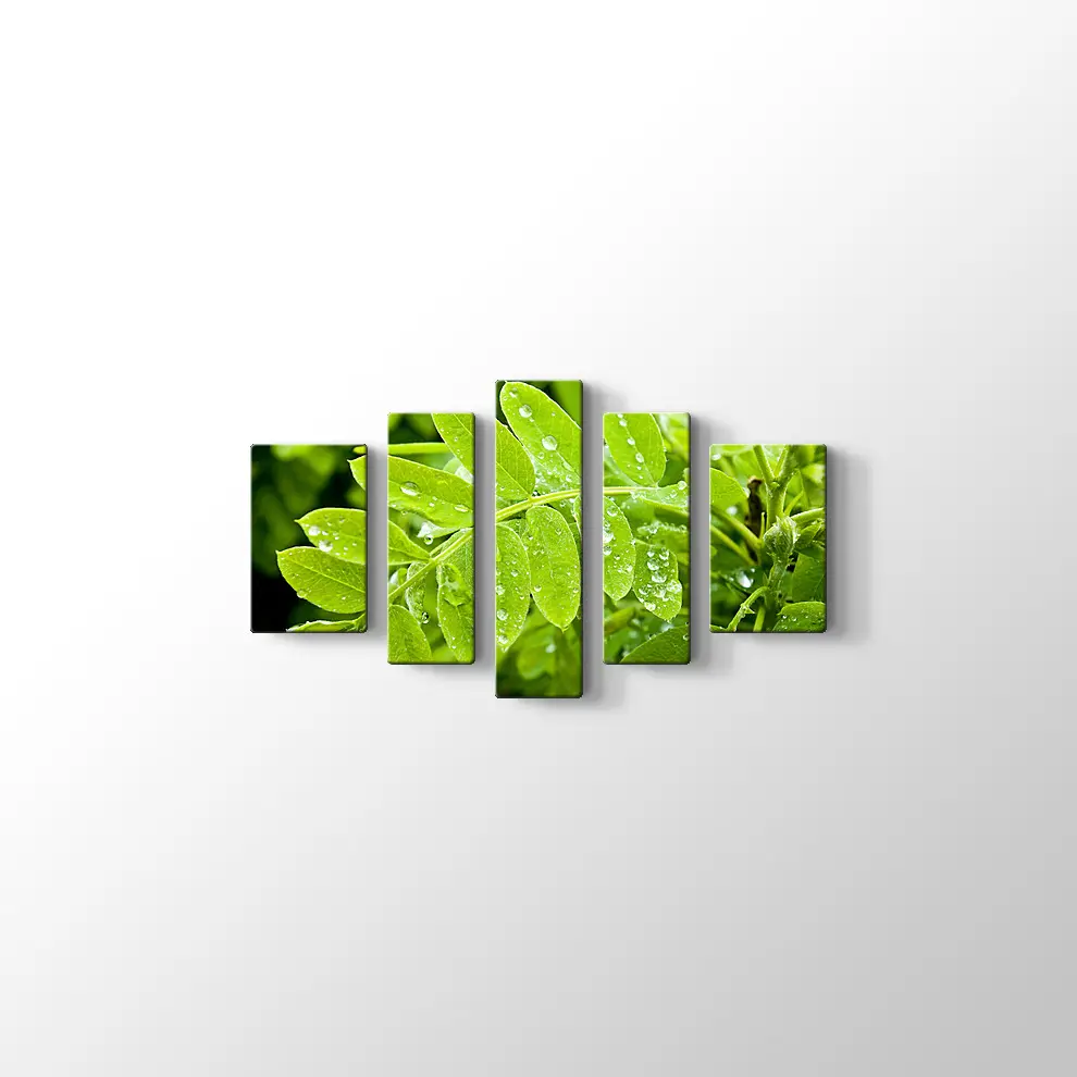 Kayalıklarda Gün Batımı