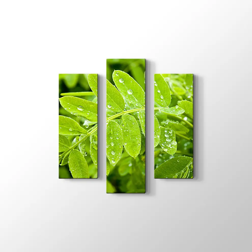 Kayalıklarda Gün Batımı