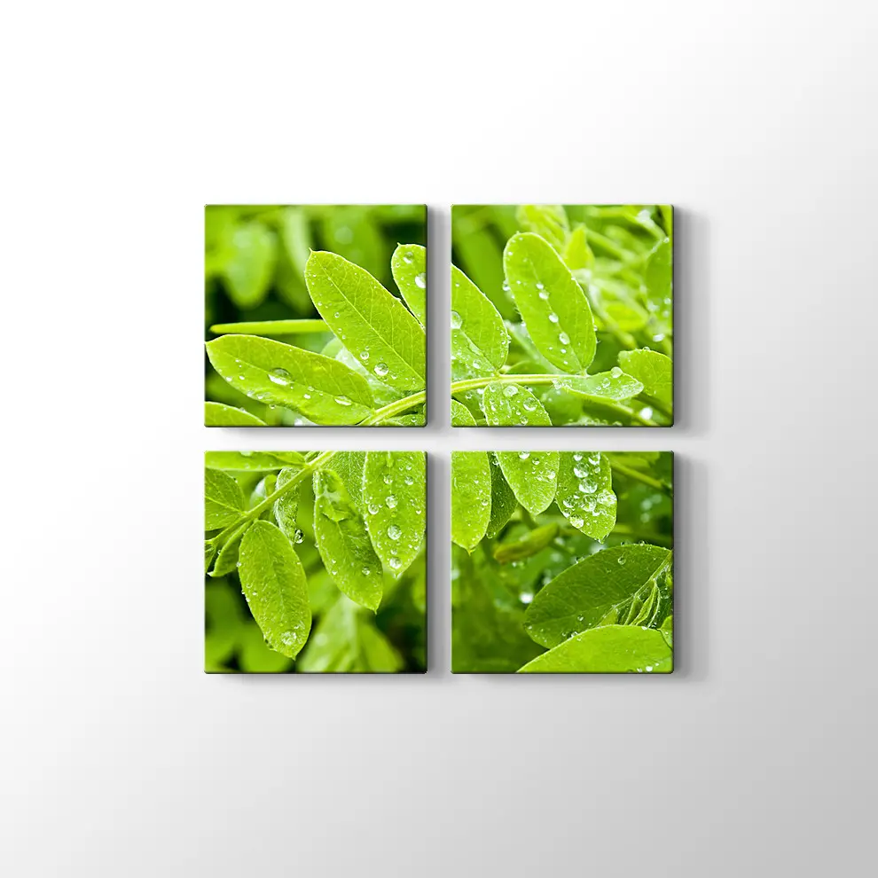 Kayalıklarda Gün Batımı