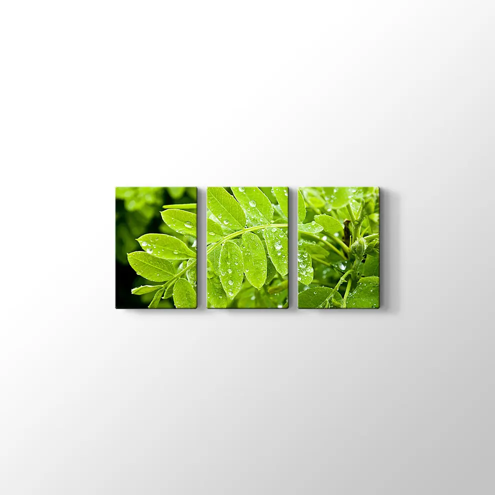 Kayalıklarda Gün Batımı