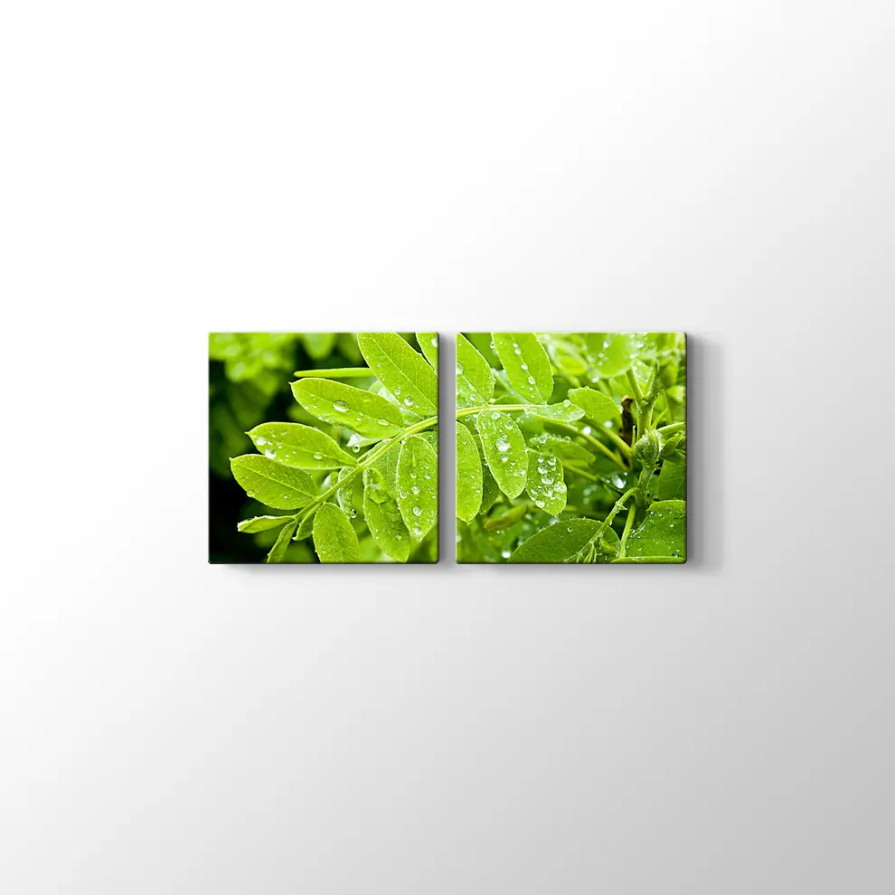 Kayalıklarda Gün Batımı