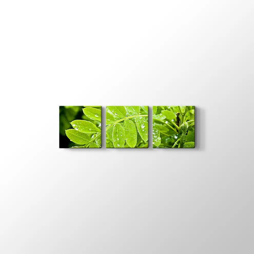 Kayalıklarda Gün Batımı