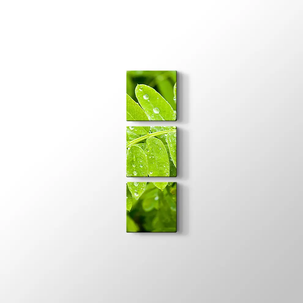 Kayalıklarda Gün Batımı