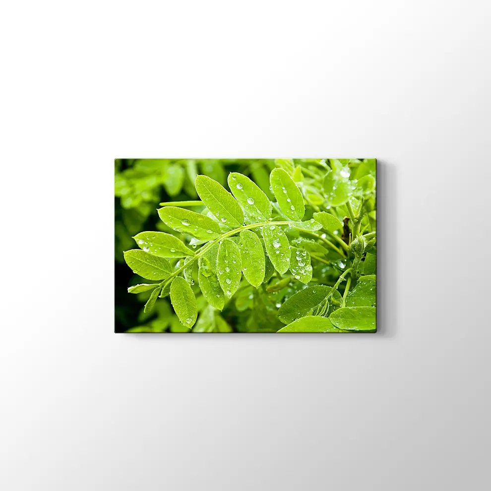 Kayalıklarda Gün Batımı