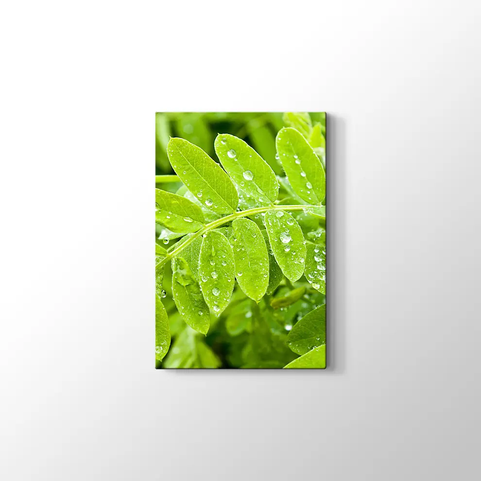 Kayalıklarda Gün Batımı