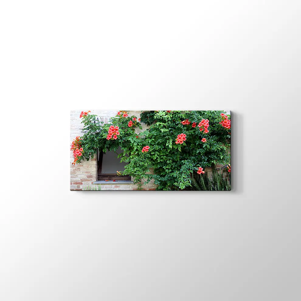 Pencerede Çiçekler Kanvas Tablo