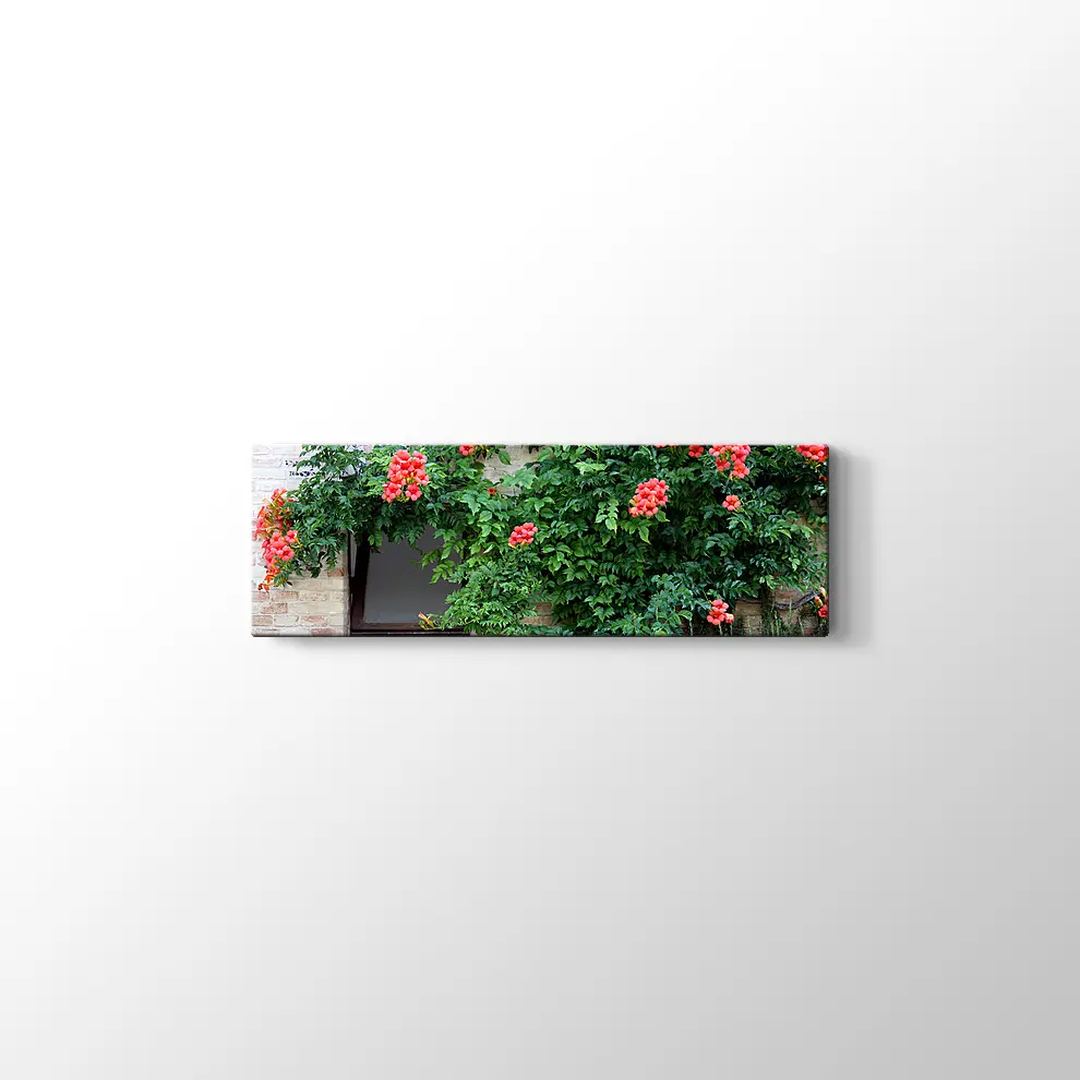 Pencerede Çiçekler Kanvas Tablo