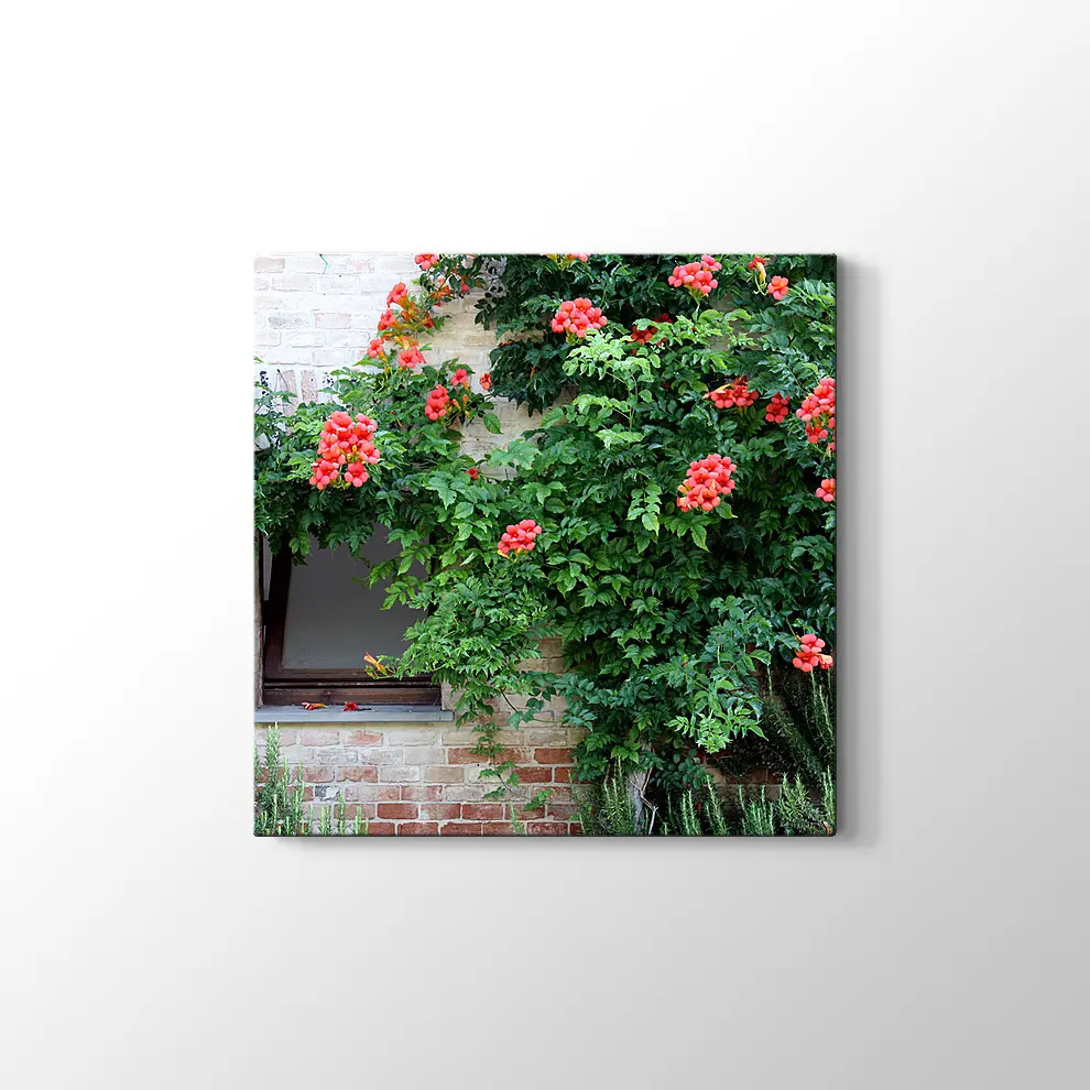Pencerede Çiçekler Kanvas Tablo