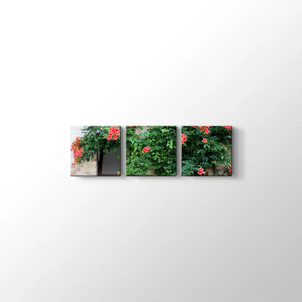 Pencerede Çiçekler Kanvas Tablo