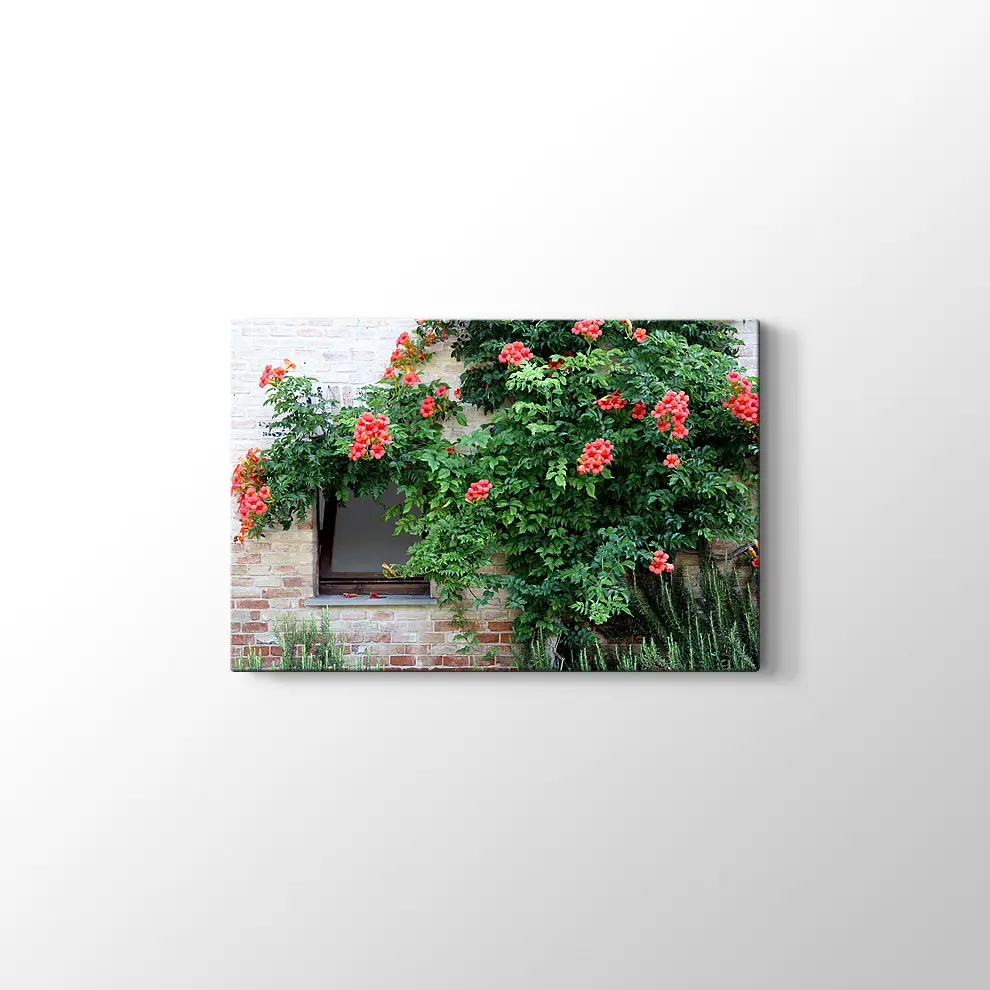 Pencerede Çiçekler Kanvas Tablo