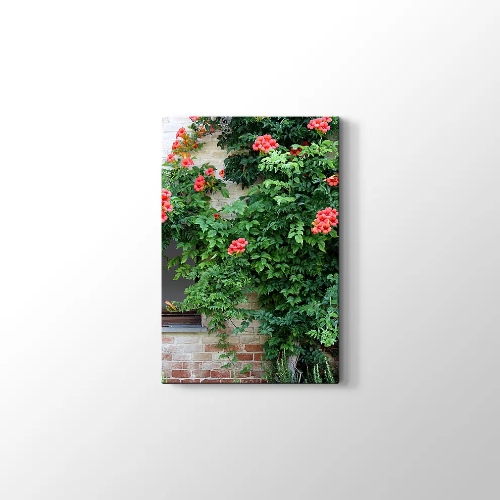 Pencerede Çiçekler Kanvas Tablo