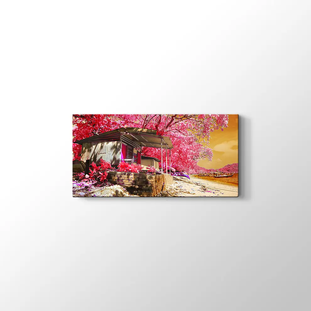 Kızılötesi Kulübe Kanvas Tablo