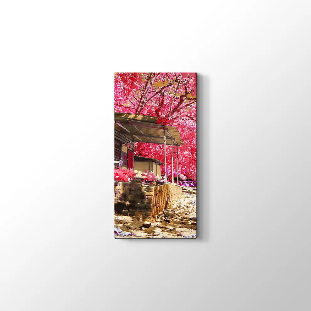 Kızılötesi Kulübe Kanvas Tablo