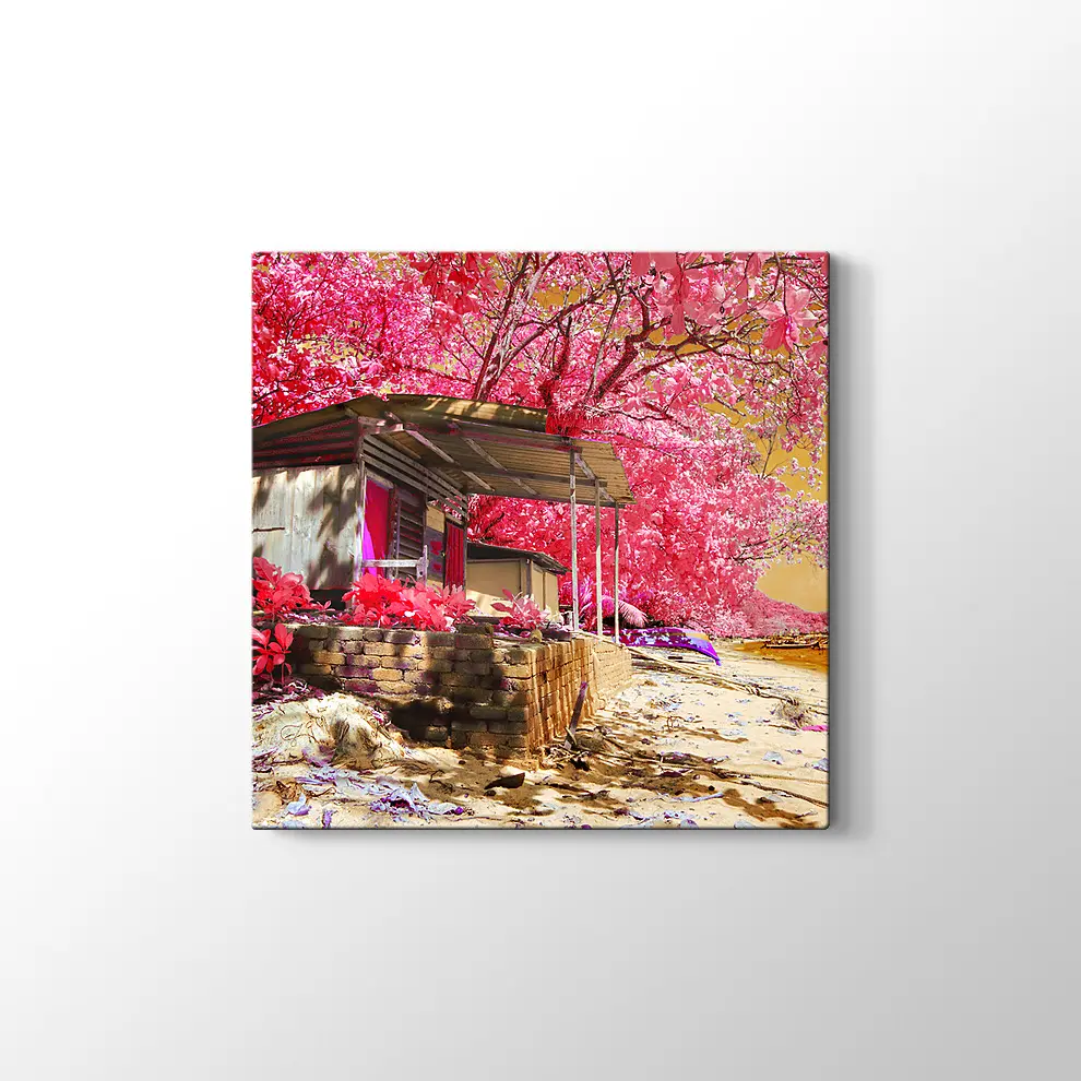 Kızılötesi Kulübe Kanvas Tablo
