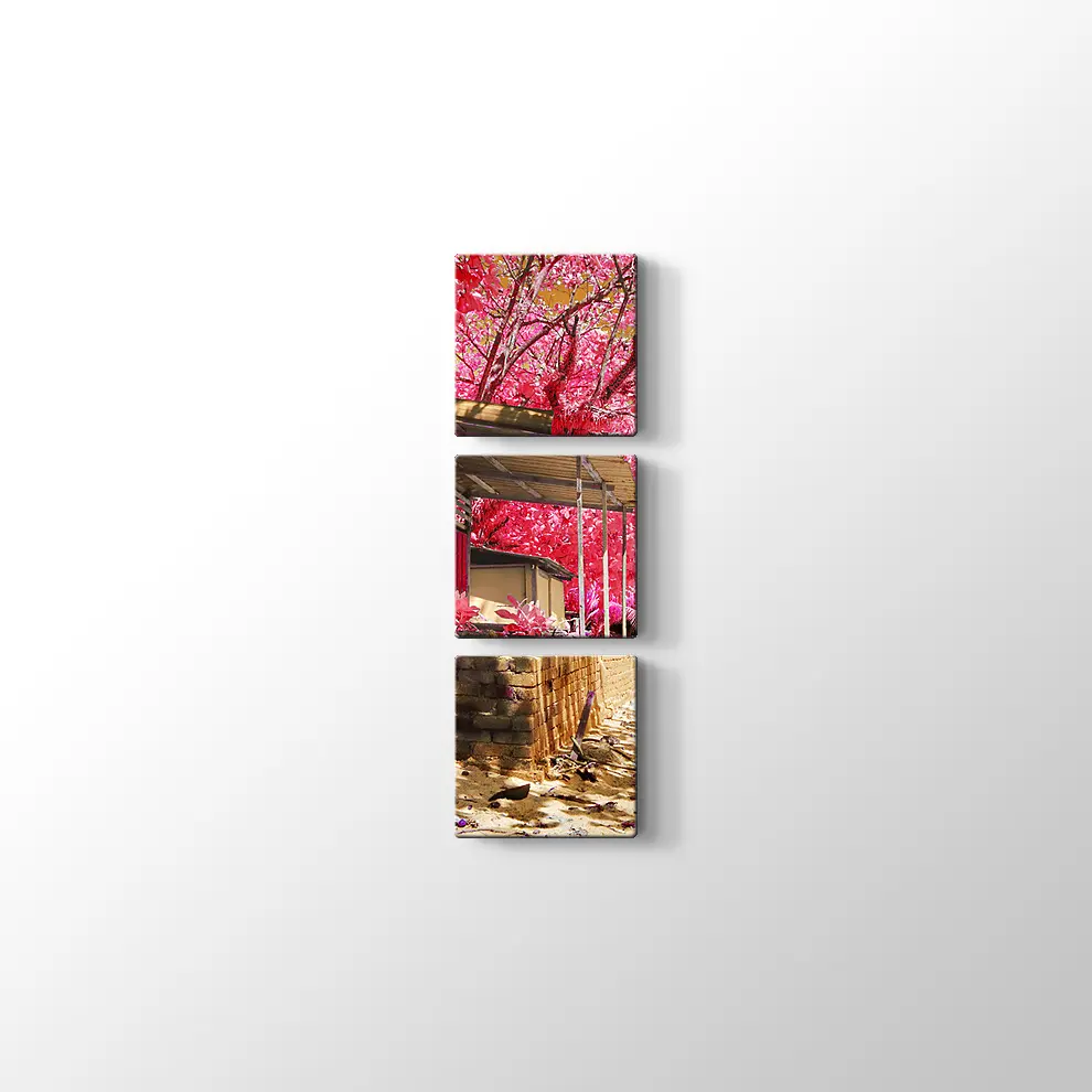 Kızılötesi Kulübe Kanvas Tablo