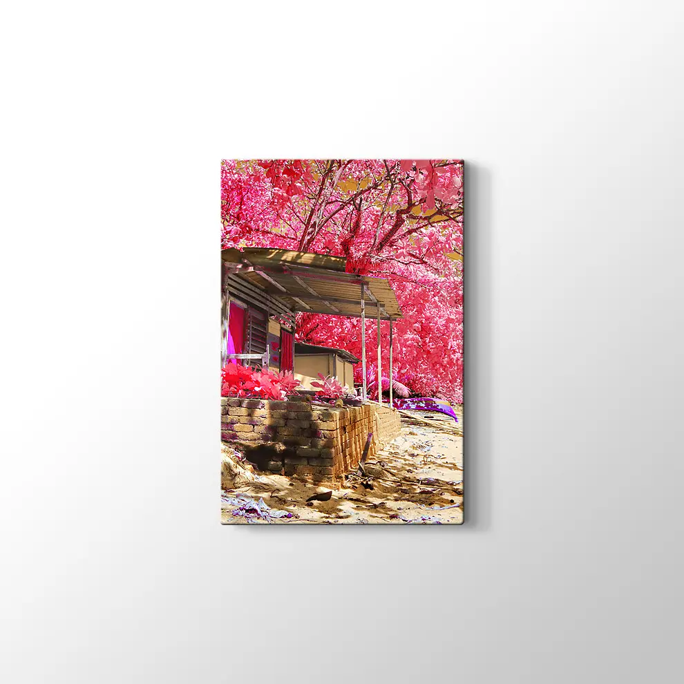 Kızılötesi Kulübe Kanvas Tablo