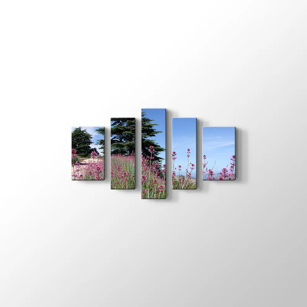 Sedir Kralı Kanvas Tablo