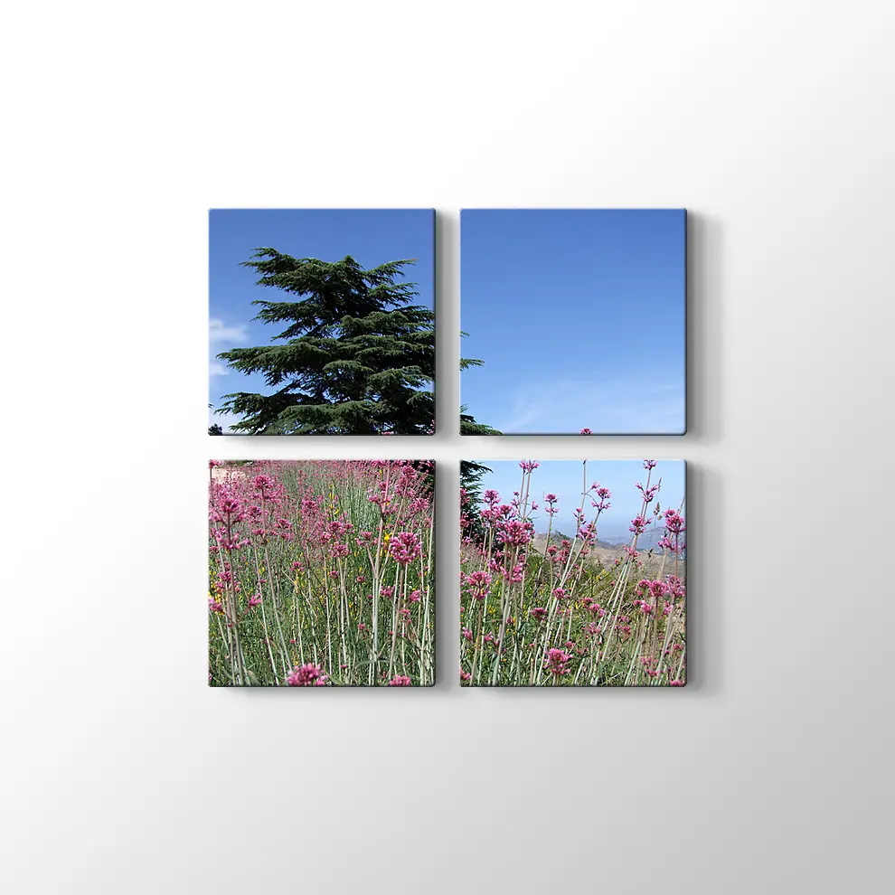 Sedir Kralı Kanvas Tablo