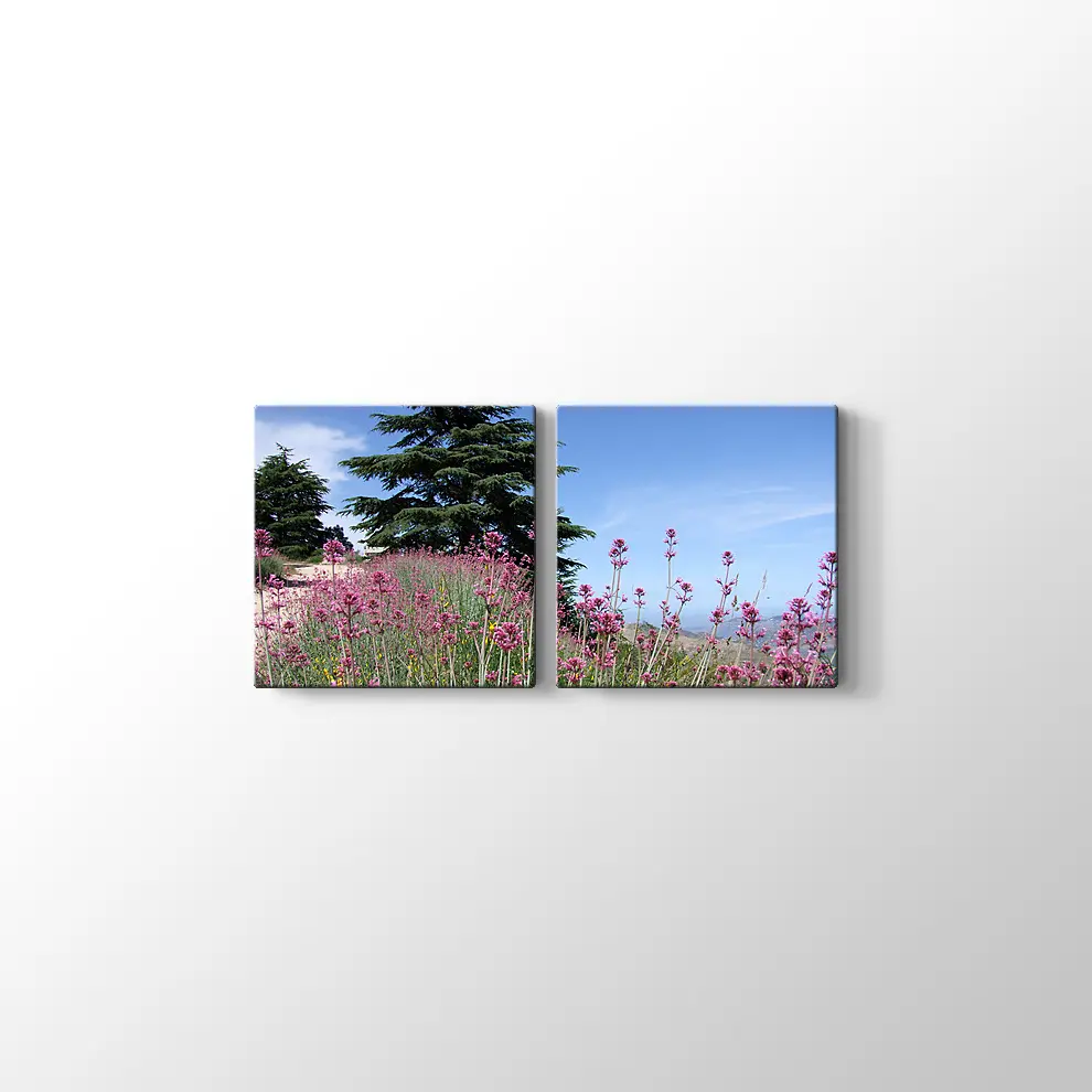 Sedir Kralı Kanvas Tablo