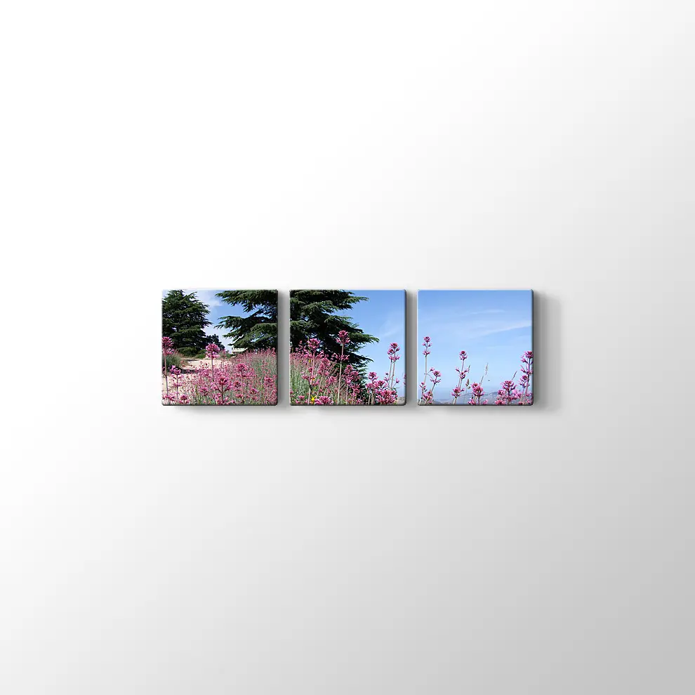 Sedir Kralı Kanvas Tablo