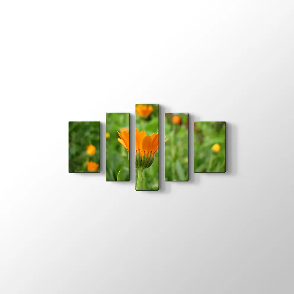 Kadife Çiçeği Kanvas Tablo