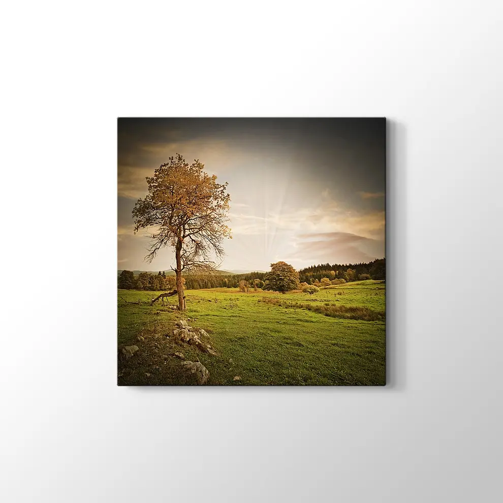 Günbatımı İle Sonbahar Kanvas Tablo
