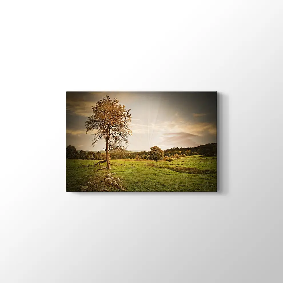 Günbatımı İle Sonbahar Kanvas Tablo
