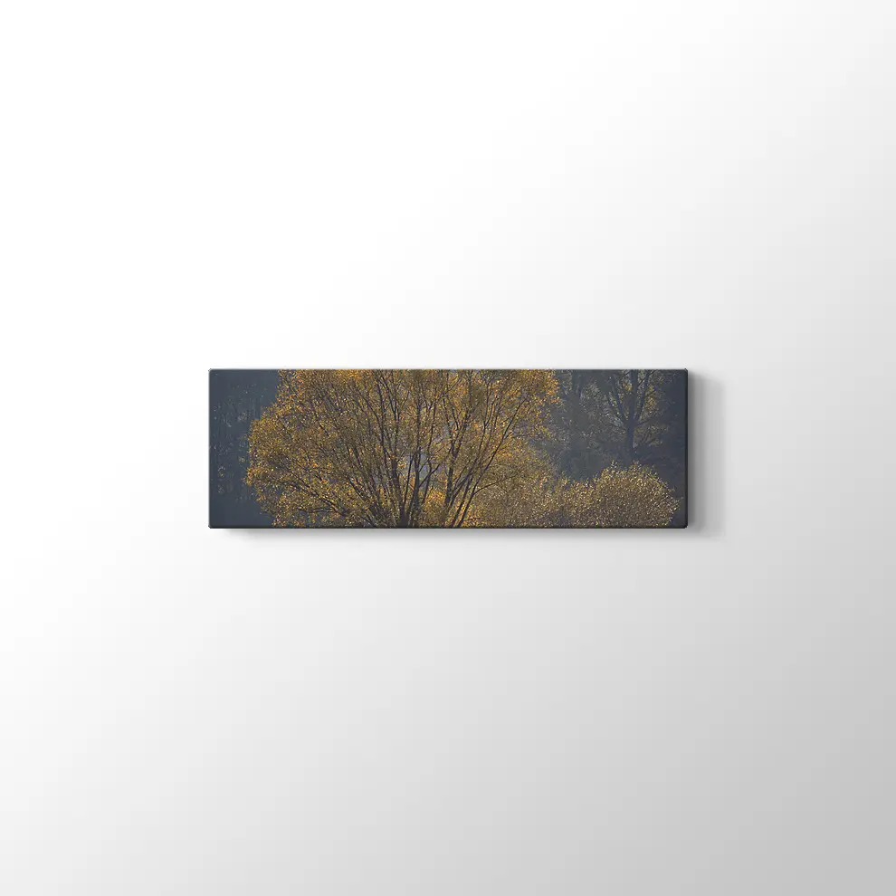 Narew Ulusal Park Kanvas Tablo