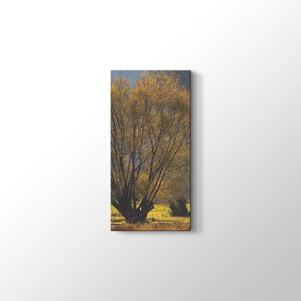 Narew Ulusal Park Kanvas Tablo