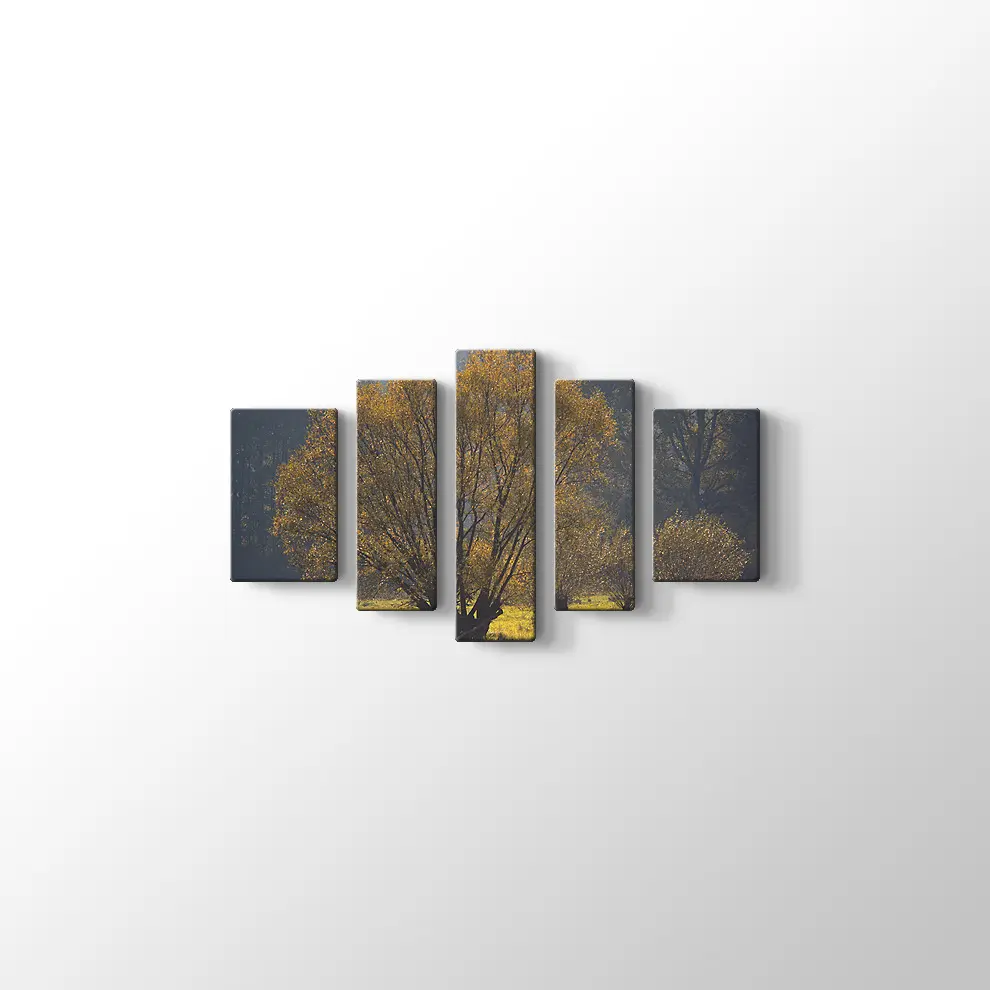 Narew Ulusal Park Kanvas Tablo