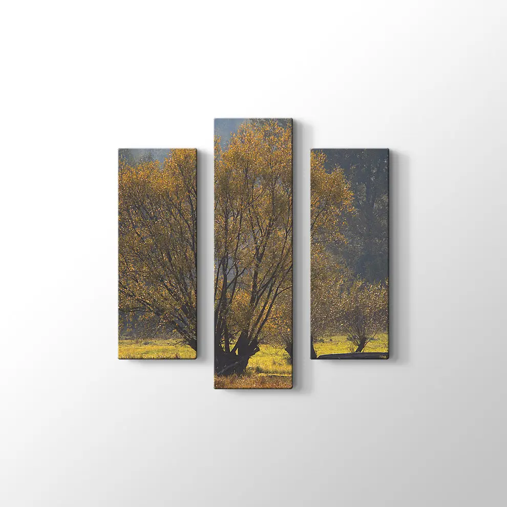 Narew Ulusal Park Kanvas Tablo