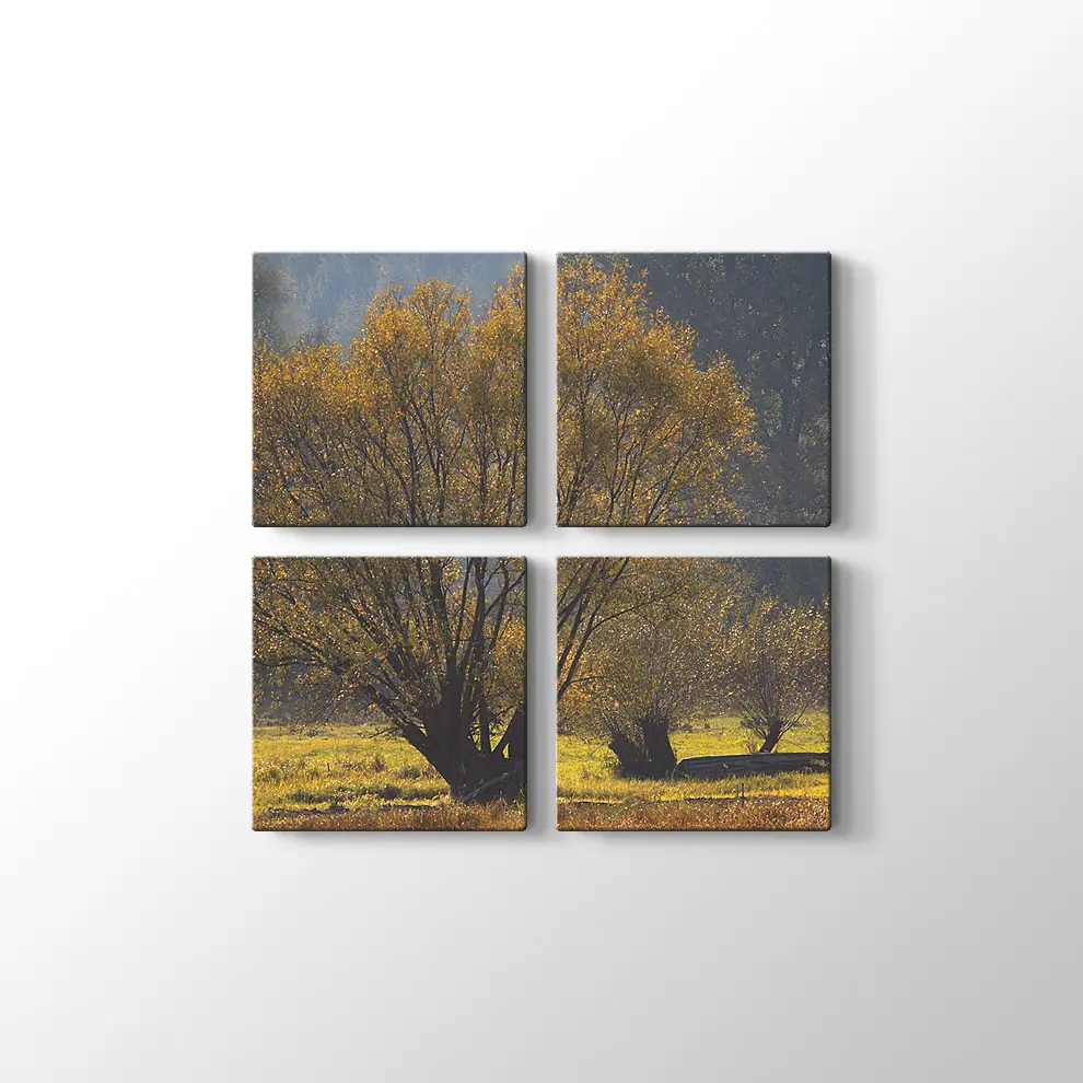 Narew Ulusal Park Kanvas Tablo