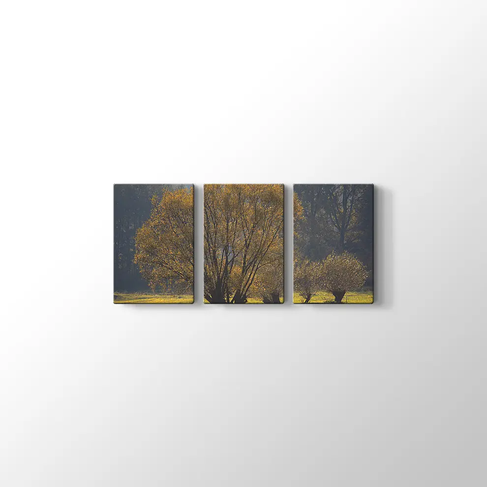 Narew Ulusal Park Kanvas Tablo