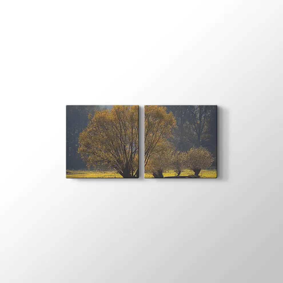 Narew Ulusal Park Kanvas Tablo