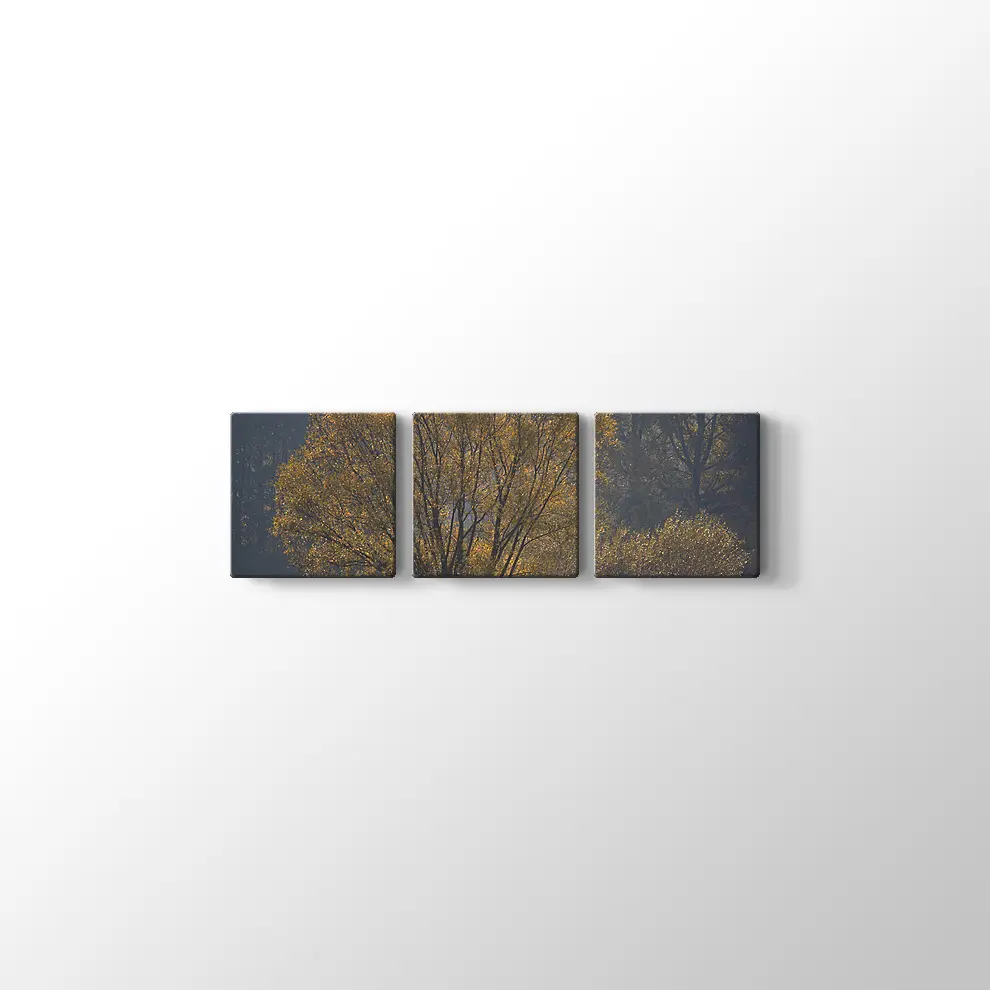 Narew Ulusal Park Kanvas Tablo