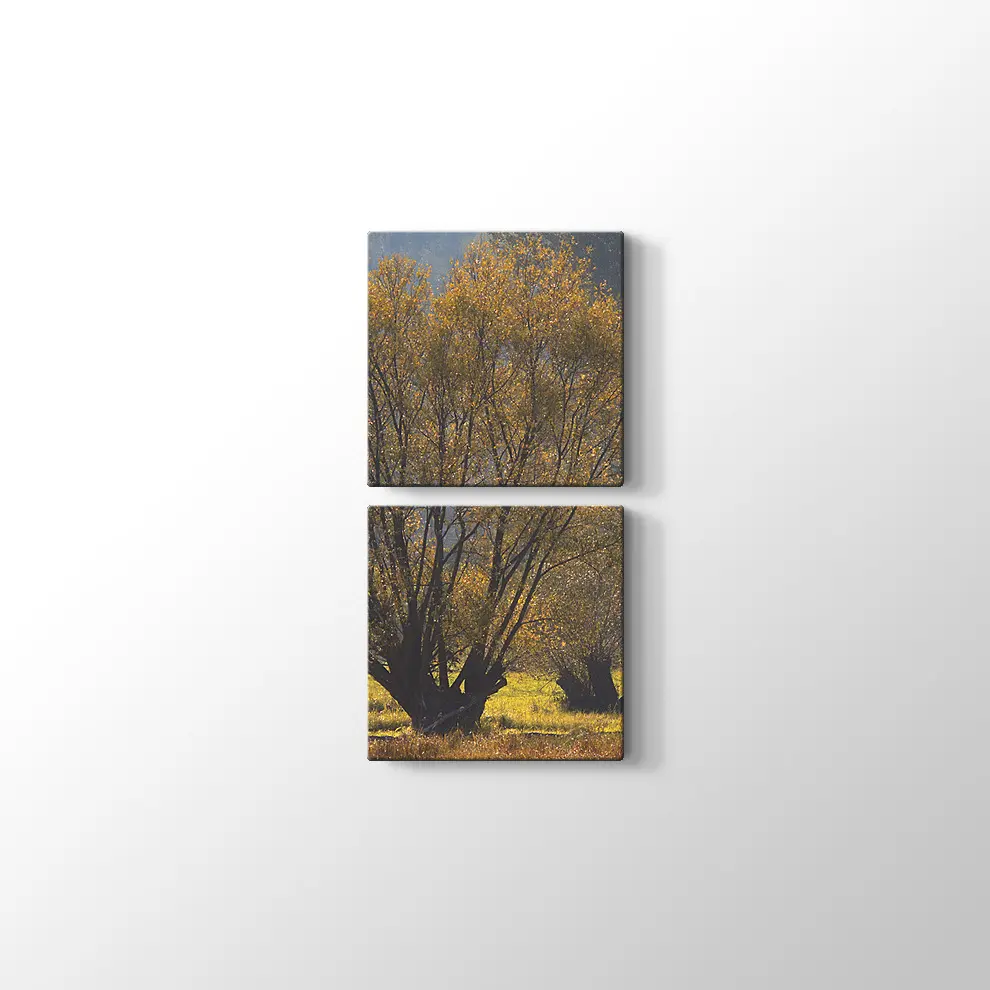 Narew Ulusal Park Kanvas Tablo