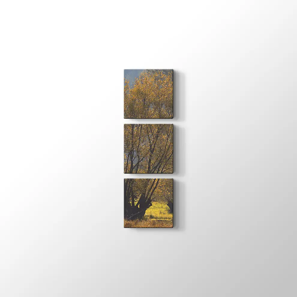 Narew Ulusal Park Kanvas Tablo