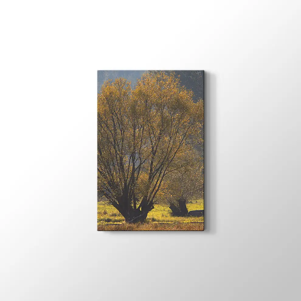 Narew Ulusal Park Kanvas Tablo